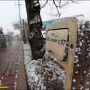 제주 올레길 17코스 이미지