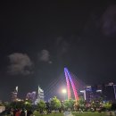 지에스푸드강 주식회사 | 호치민 축제 후기, 50주년 불꽃놀이 보고 왔습니다!
