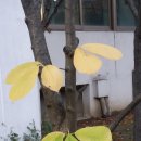 부천테크노파크 2단지 이미지