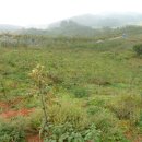 큰나무농장 이미지