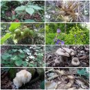 수선농장 이미지