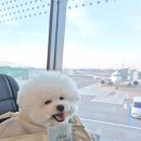 팜스빌리지 스페셜 조이 | 부산에서 보낸 생일 주간