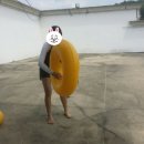 진양호캐리비안워터파크 이미지