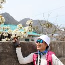 서해랑길 11코스 이미지