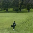 파크랜드거창점 | 레드우드파크 골프클럽 (Redwood Park Golf Club) 멤버 후기-오클랜드 웨스트 스완슨 숨은 골프 명소