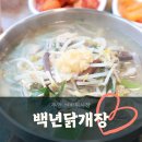 백년닭개장