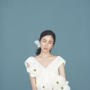퓨어블랑 이미지