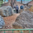 바위회관 이미지