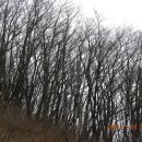 2009. 11. 8 - 아야진 이미지