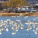 금오산길 이미지