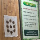 향수명가2 | 만성피로와 수족냉증 탈출기, 쑥뜸명가 부평삼산점 후기