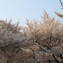 수봉양궁장 이미지