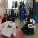 팀타이런트 유도 이미지