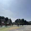 (주)아리피아 | 2026년 4월 둘째주 주말(4.11) 봄맞이 벚꽃구경 후기 - 수원 만석공원