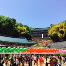 영주암유치원 이미지