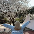 신지마을회관 이미지