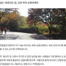 숭례문광장 Daum카페