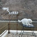 개버랜드 이미지