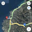 마이독스 이미지