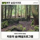 강인목장 | 제주 서귀포 치유의 숲 예약방법 해설사 프로그램 리얼 후기 필수 유의사항
