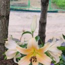 월현농장 이미지