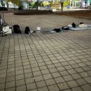 베스트올 신곡신일점 | &#34;2025 원더리벳 1일차 후기&#34; (금)