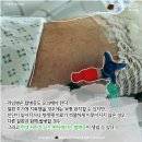 제2의 에이즈로 불리는 라임병, 기후변화로 더 주의 해야 이미지