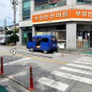 수지네야채