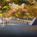 초록슈피아 이미지