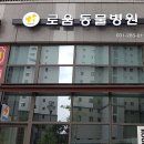 기흥로움동물병원 | 경기도 처인구 기흥로움동물병원, 영업시간, 후기, 연락처