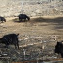 현태농장 이미지