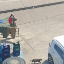 대포동호스텔 | [국내] 속초 나 홀로 1박2일 여행 - 외옹치 바다향기로, 속초 해수욕장, 엑스포타워, 칠성조선소(카페...