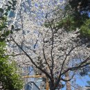 평화공원 - 금산군 앞재길 21-48 | 평화공원