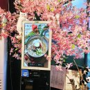 금촌떡방앗간 | 파주닭갈비맛집 정담원&amp;송주불냉면 금촌맛집