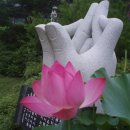 대한항공정우회 이미지