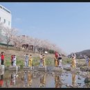 용인대용진태권도체육관