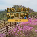청련사 | 강화도 고려산 진달래 축제 / 청련사코스 주차 개화시기 다녀온 후기