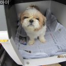 노암세차장 이미지