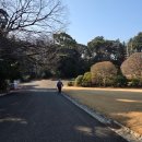 도쿄 가볼만한곳 추천｜5월 신주쿠교엔 연간패스 후기 &amp; 러닝 코스🌿