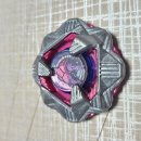 블랙터틀Blackturtle