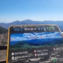 재약산 등산코스 추천! 케이블카 최단 코스로 왕복 2시간 완주 후기