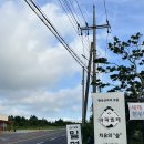 자연과 사람들 이미지