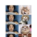 This is perfect - which one are you? + B (updated with EW) 이미지