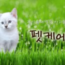 동부산 해피케어 이미지
