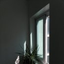 킹덤모텔 이미지