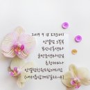 인셀덤창원대리점