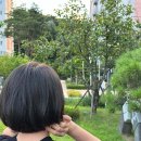 수교미용실 | 수교수석디자이너의 마법! 안양 최고 미용실 후기