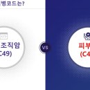 부여육종 이미지