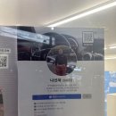 문돼지 이미지