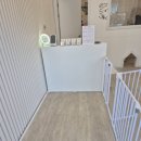 뽀송하댕 이미지